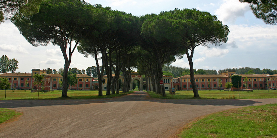 San Rossore Pisa: un’oasi di natura a due passi dalla città