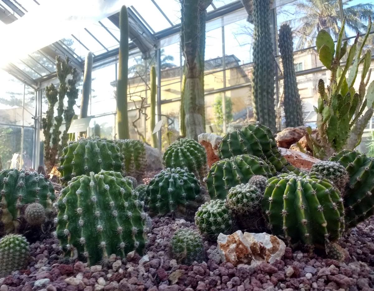 I giardini segreti di Pisa: oasi verdi nel cuore della città