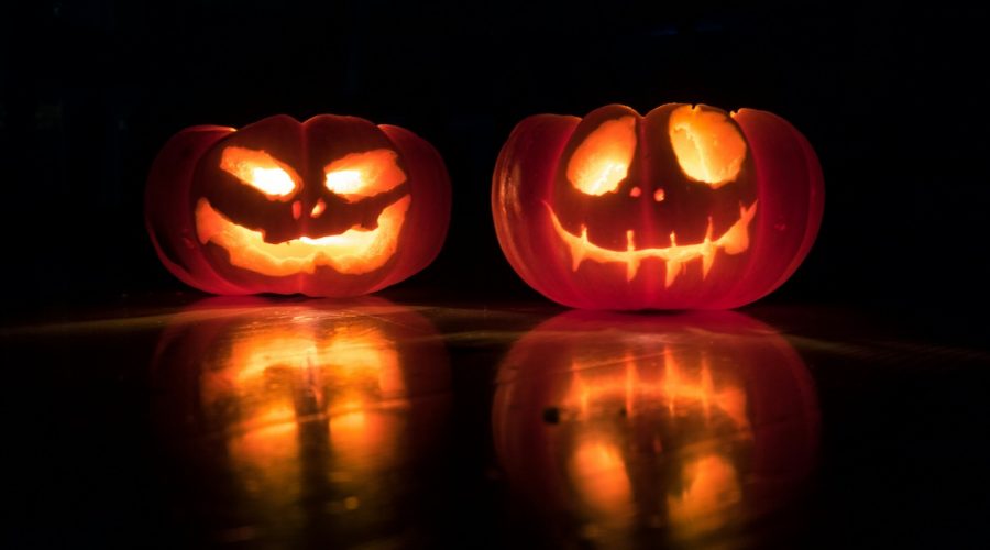 Cosa fare ad Halloween 2025 a Pisa e provincia