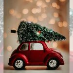 viviamo pisa immagini doveandare