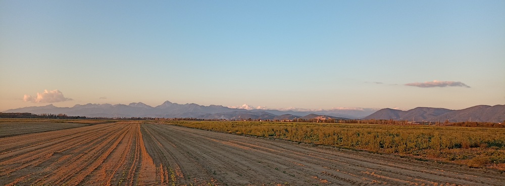 jogging viale cascine pisa