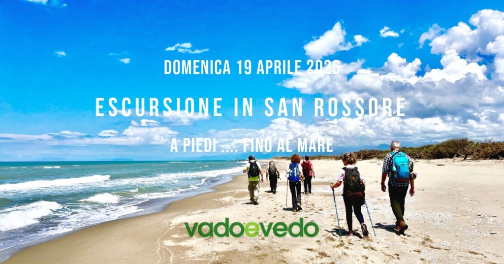 Escursione nella Tenuta di San Rossore … fino al mare – 1 Maggio 2026