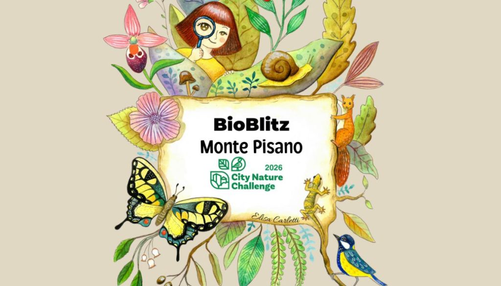 BioBlitz Monte Pisano – City Nature Challenge 2026