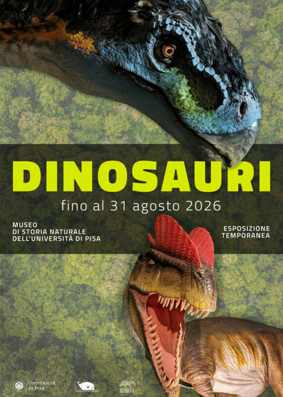Dinosauri – esposizione temporanea a Calci