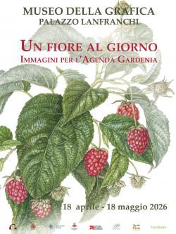 Un fiore al giorno – mostra al Museo della Grafica